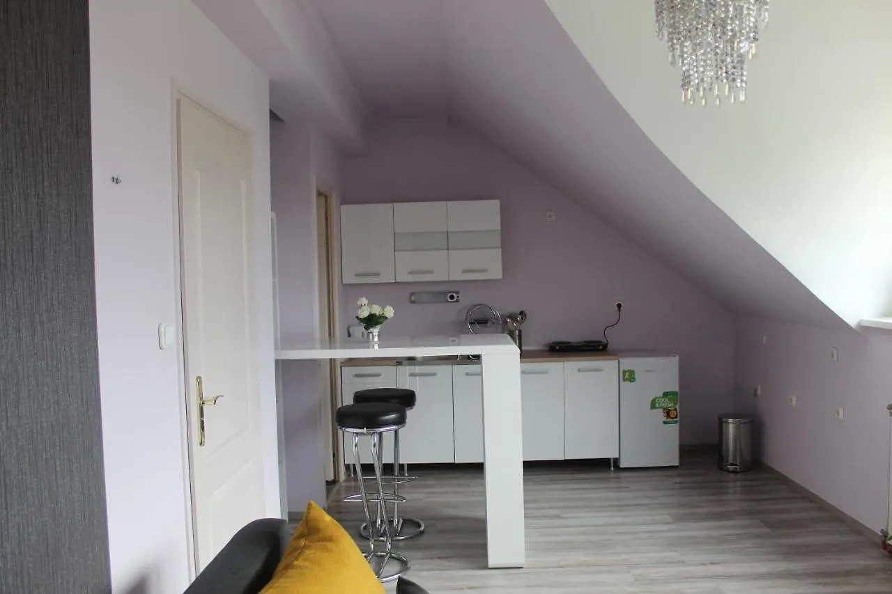 Sunny House Apartman Szeged 0*,